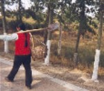 29 Rural girl off to work in the fields