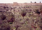 03 The Golden Gate, Jerusalem, from Mt. of Olives