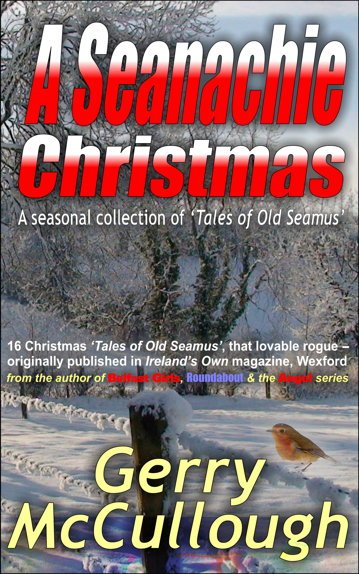 Buy 'A Seanachie Christmas: a seasonal collection of ‘Tales of Old Seamus’ from Amazon & other outlets